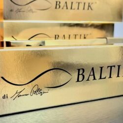 Lingotto di salmone baltik