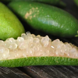 Finger lime