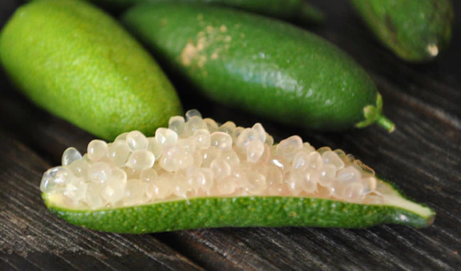 Finger lime